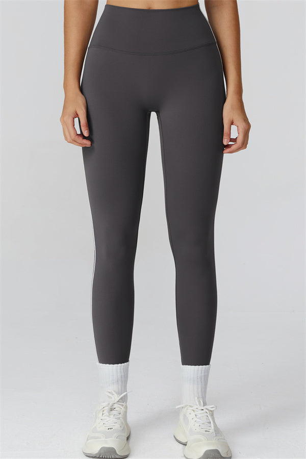 Las mallas Venus