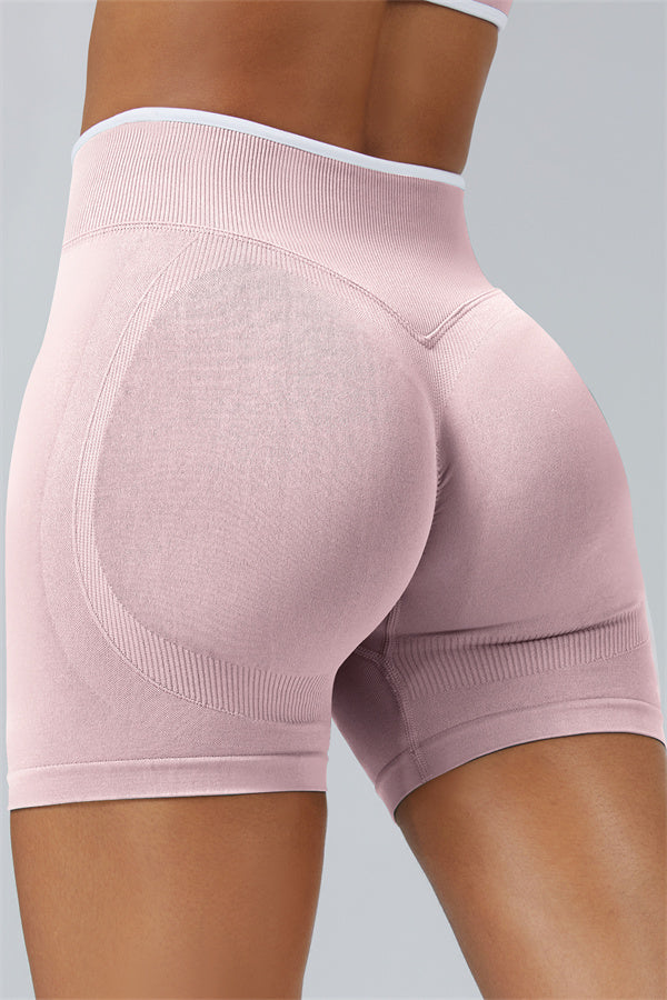 Conjunto de 2 piezas de sujetador deportivo y shorts Elevate