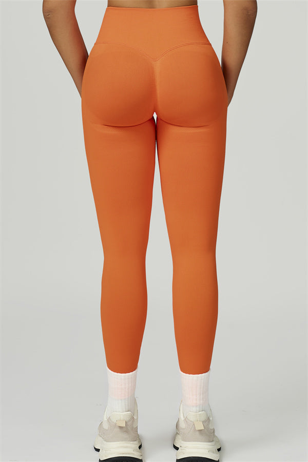 Conjunto de 2 piezas de leggings y top corto de manga larga Prime