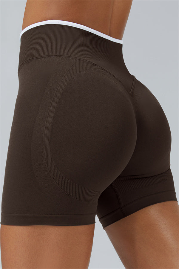 Conjunto de 2 piezas de sujetador deportivo y shorts Elevate