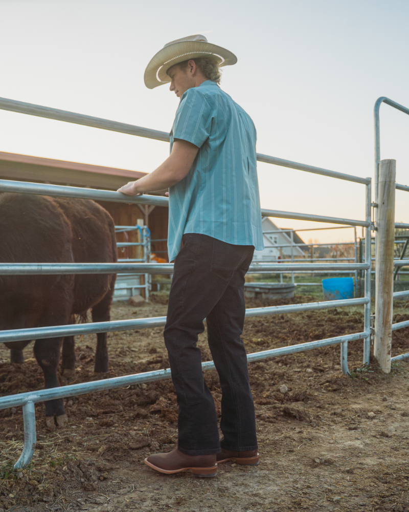 Pantalones Vaqueros Hideout Corte Tapered - Negro