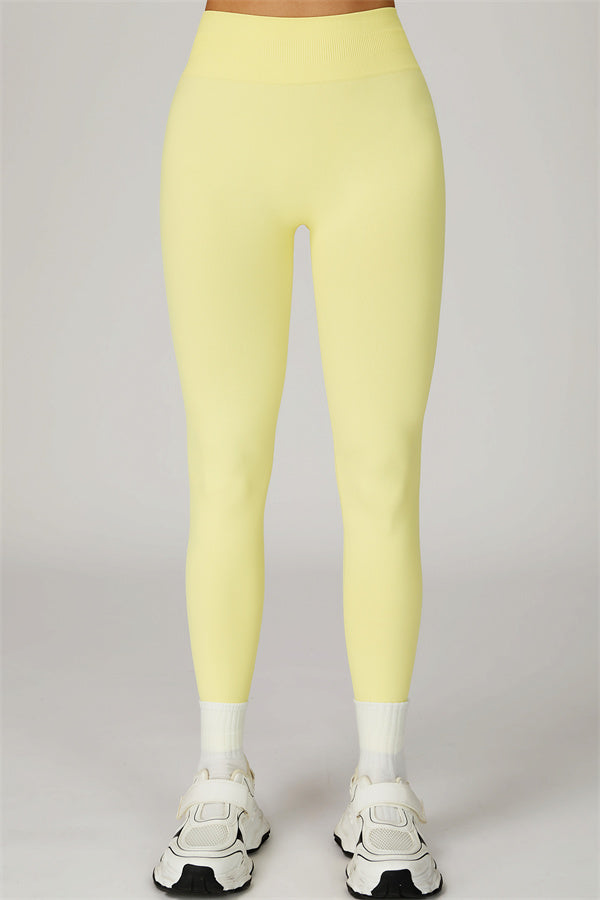 The Sculpt Sports Bra Leggings 2-Piece Set
