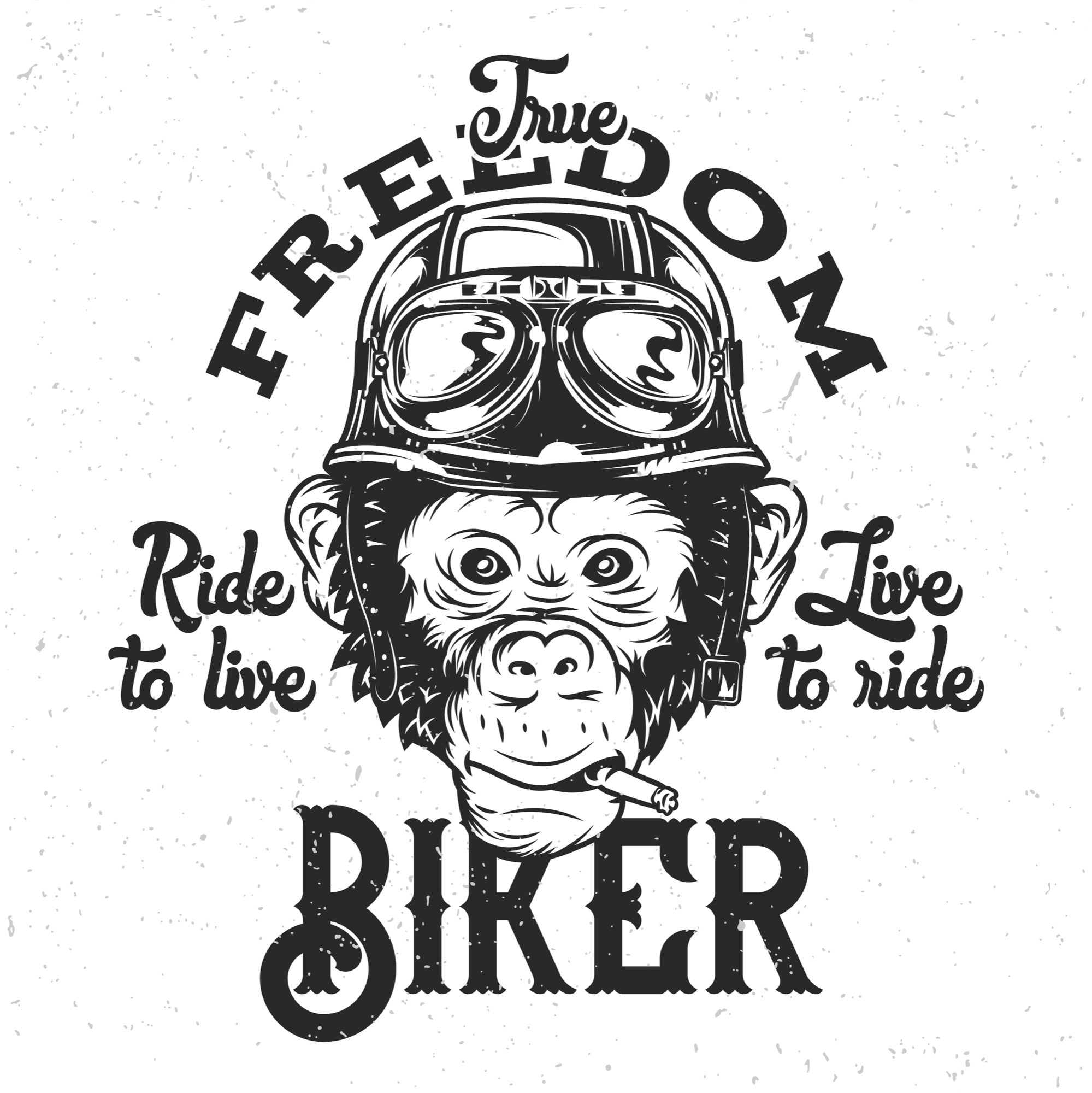 Camiseta gráfica de manga corta de bambú/algodón orgánico "Freedom Biker" para hombre