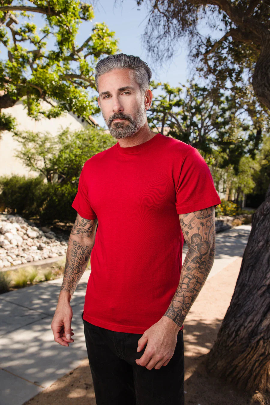 Camiseta de manga corta para hombre de viscosa de bambú/algodón orgánico - Paquete de 5 colores surtidos